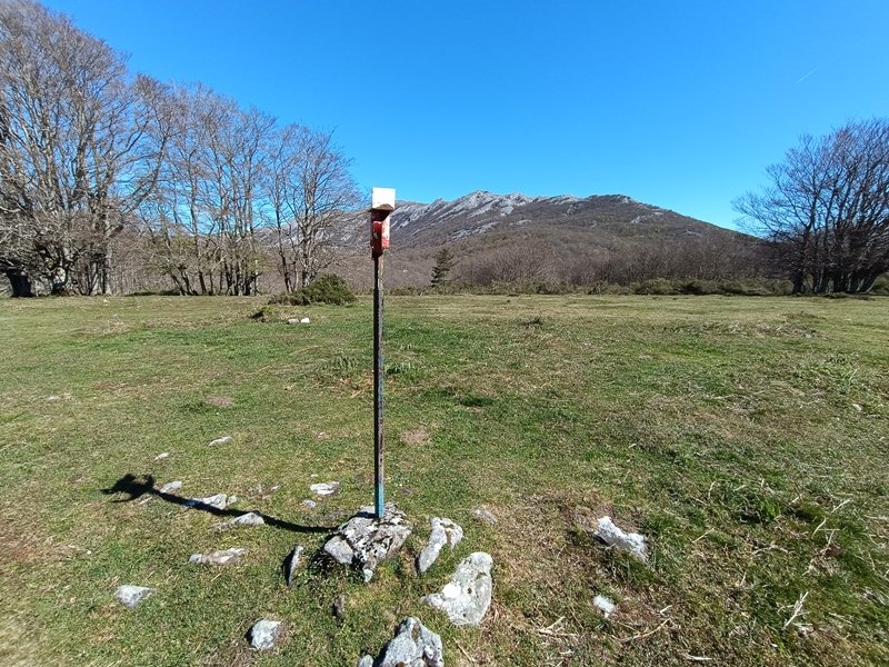 Tontorra