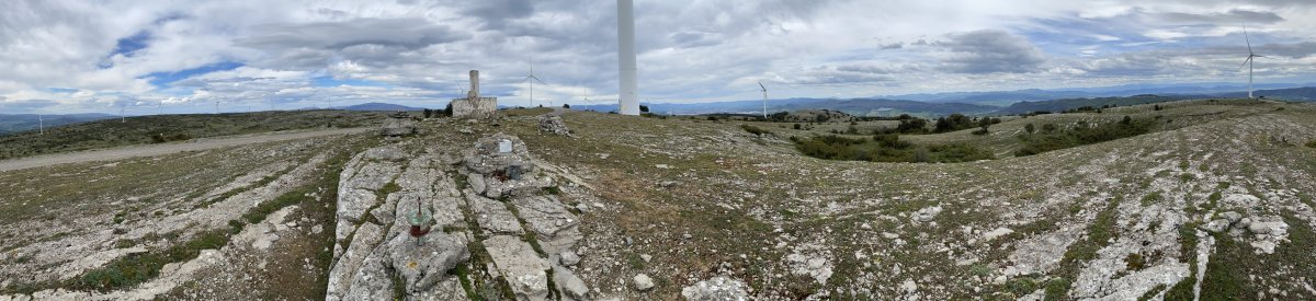 Tontorra