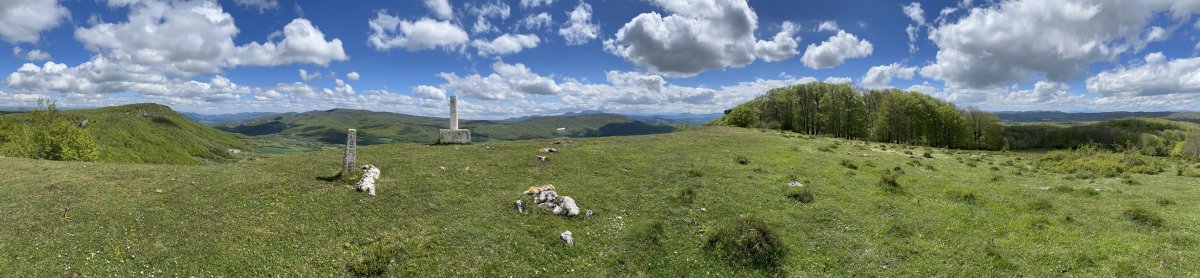 Tontorra