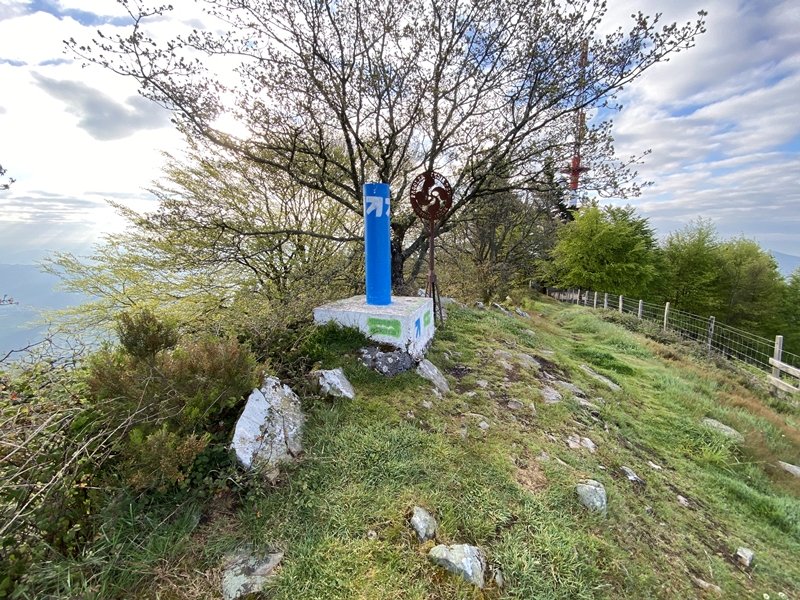 Tontorra