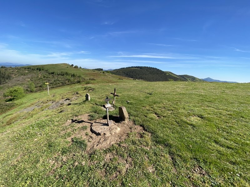 Tontorra