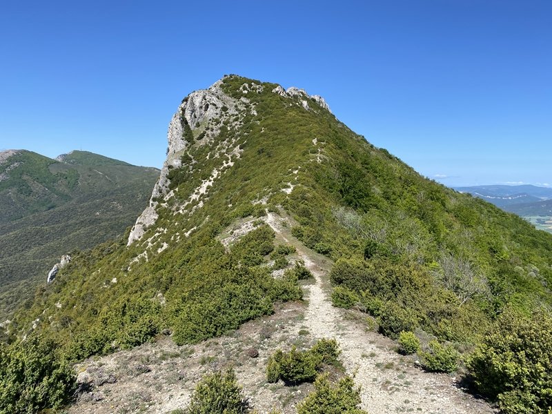 Costalera