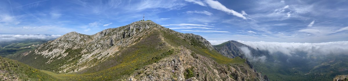 Pico Royotik