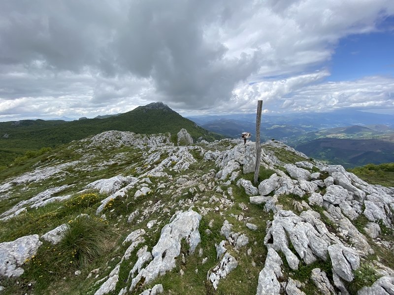 Tontorra