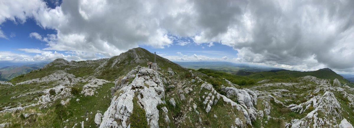 Tontorra