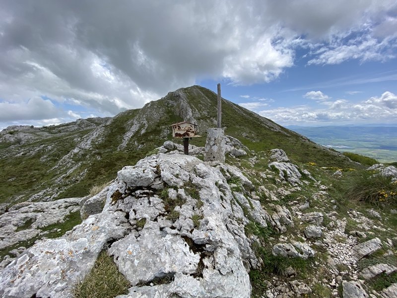 Tontorra