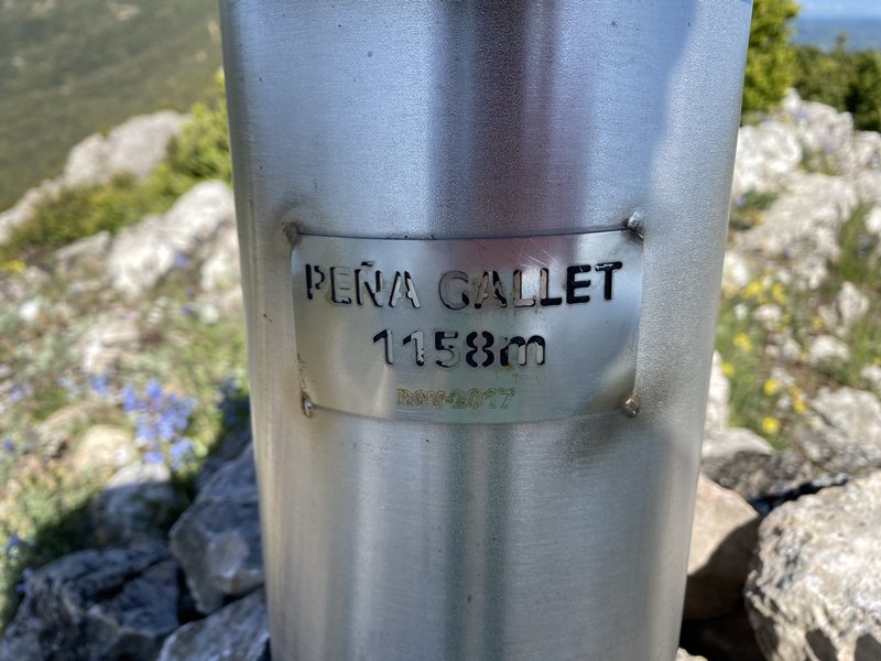 Buzoiko Plaka