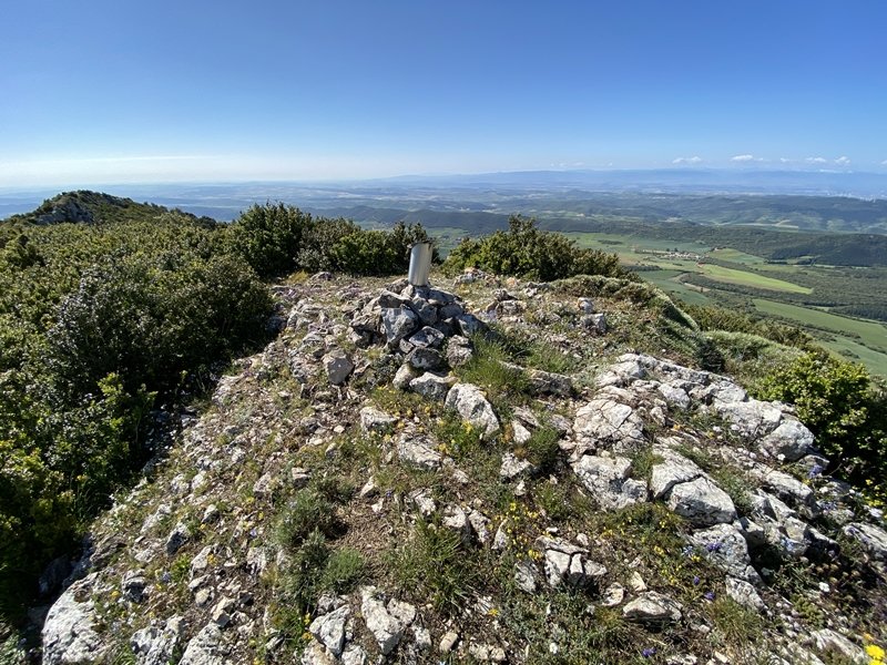 Tontorra