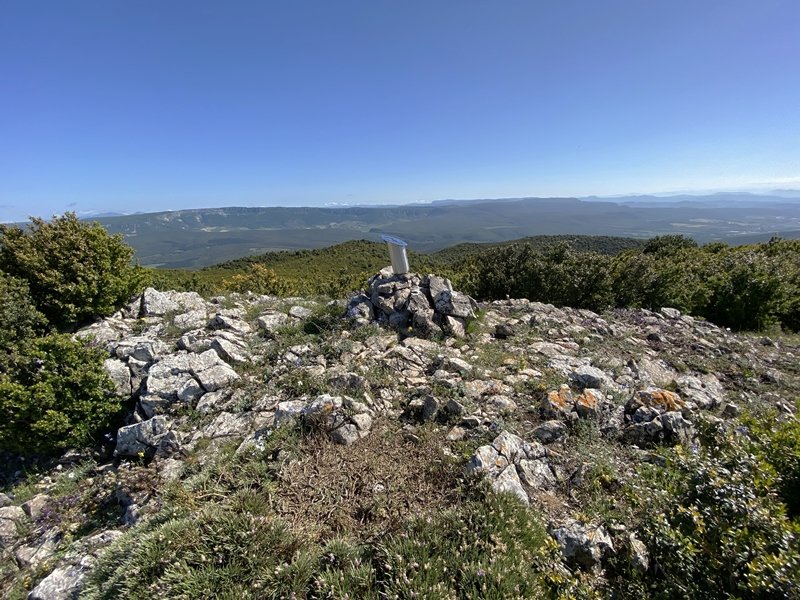 Tontorra