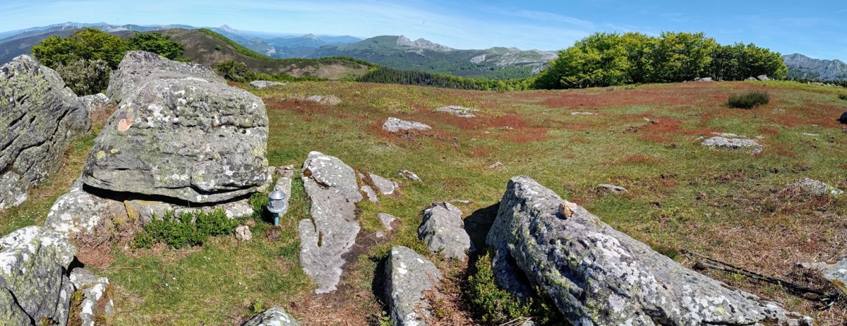 Tontorra