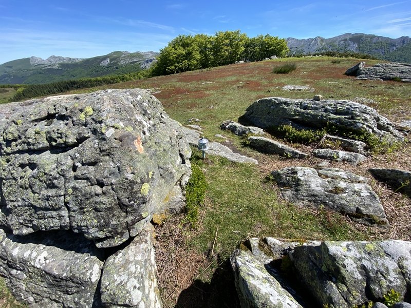 Tontorra
