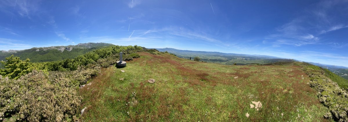 Tontorra