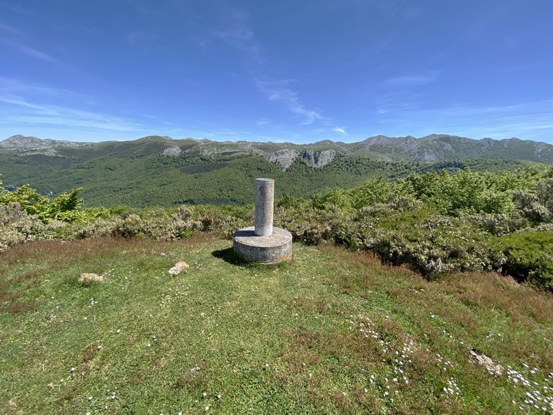 Tontorra