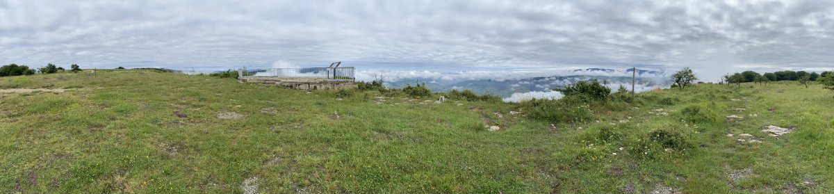 Tontorra