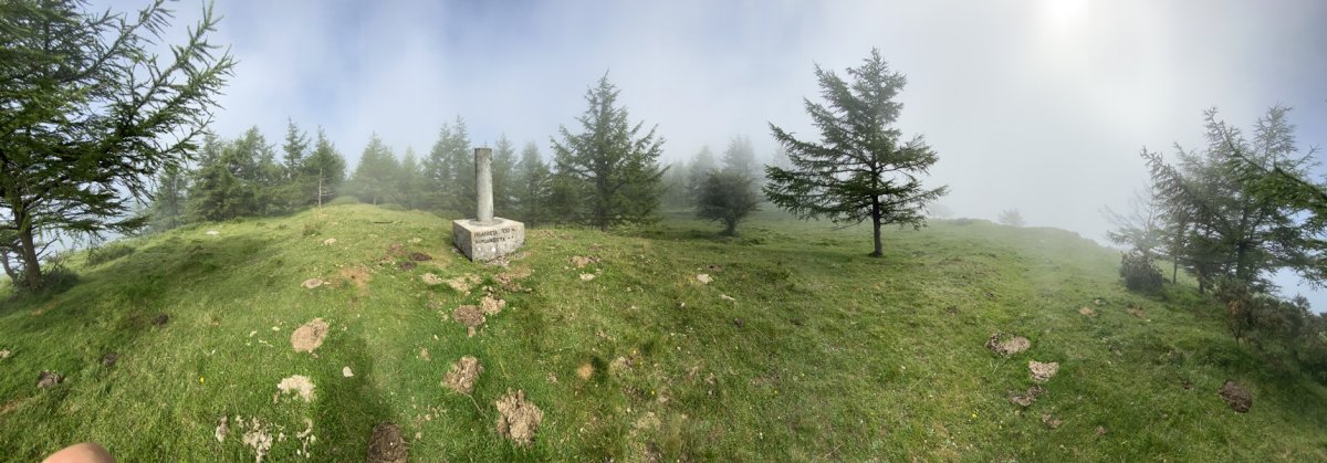 Tontorra