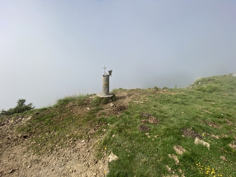 Tontorra