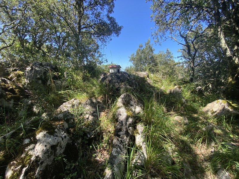 Tontorra