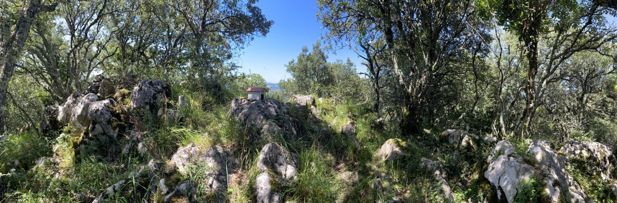 Tontorra