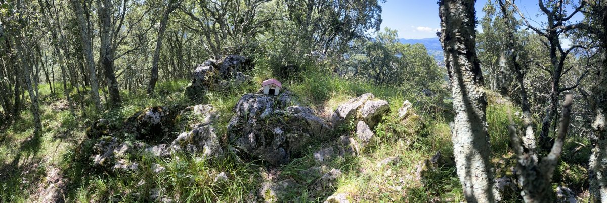 Tontorra