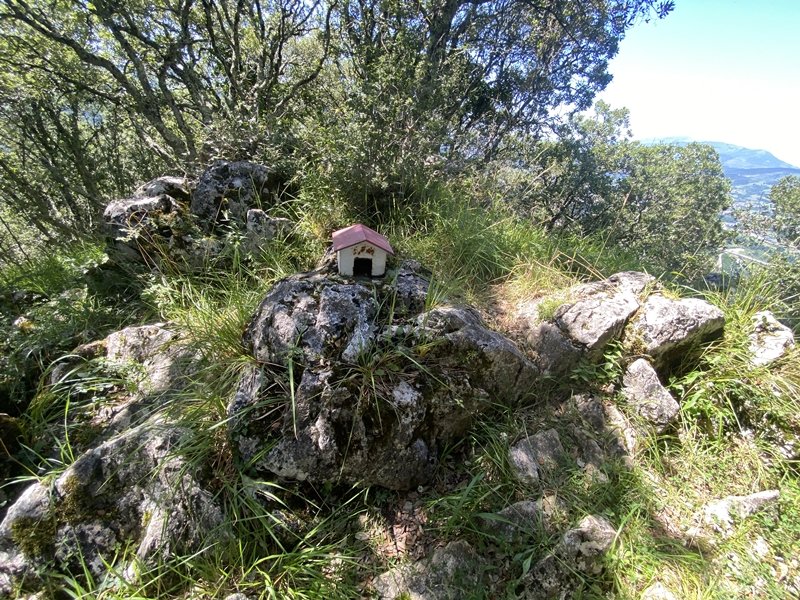Tontorra