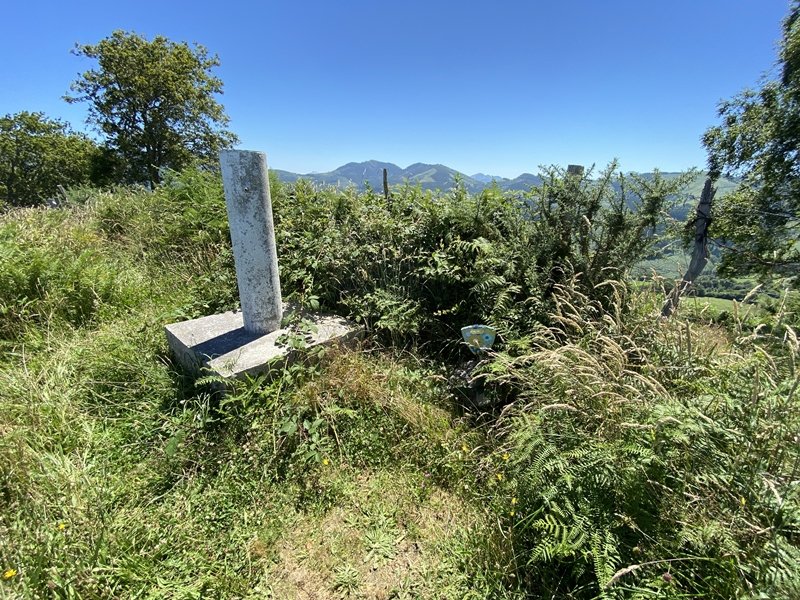 Tontorra