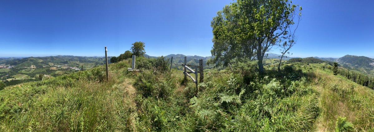 Tontorra