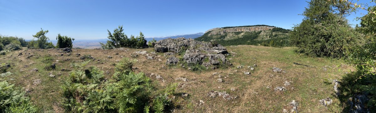 Tontorra