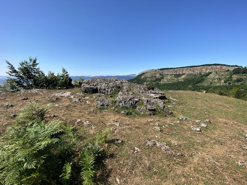 Tontorra