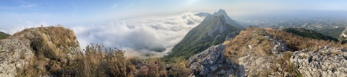 Tontorra