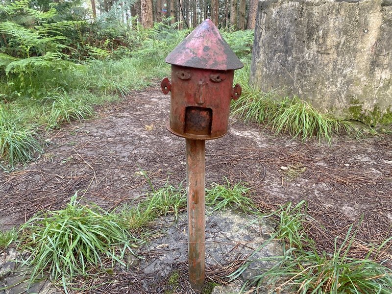 Buzoia