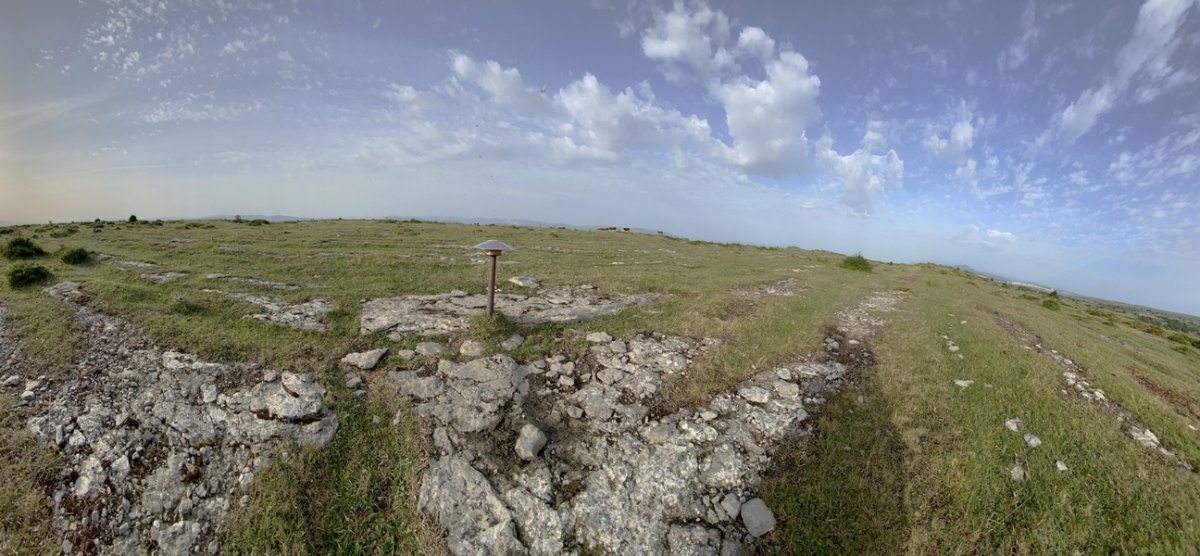 Tontorra