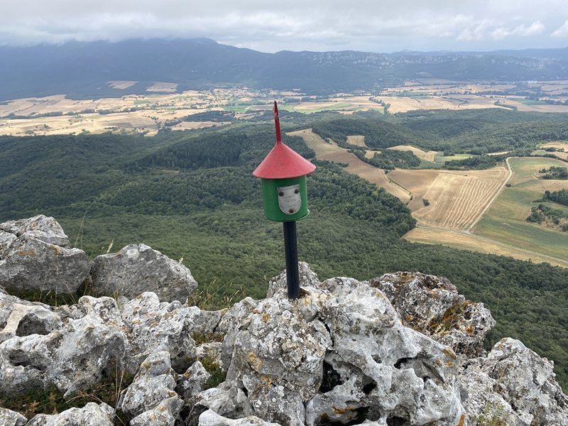 Buzoia