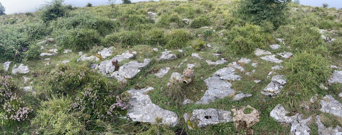 Tontorra