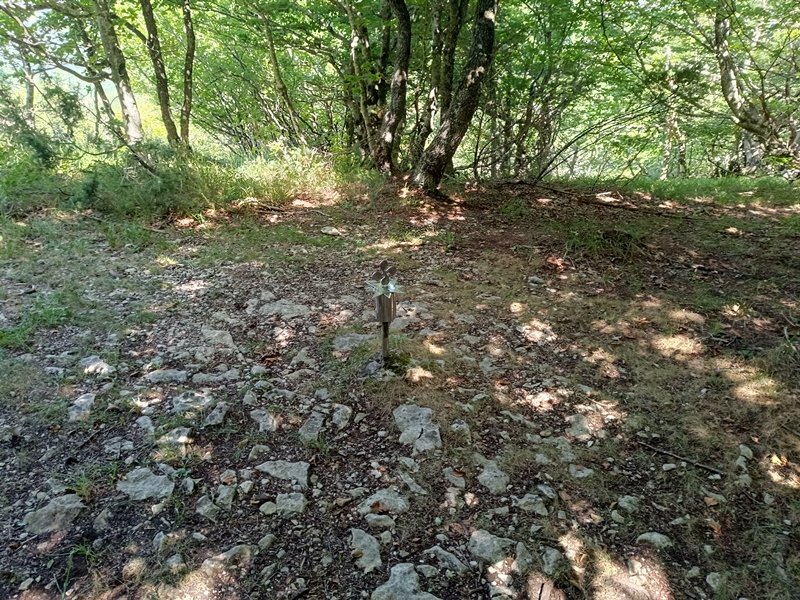 Tontorra