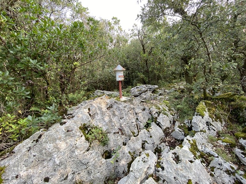 Tontorra