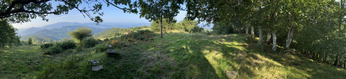 Tontorra