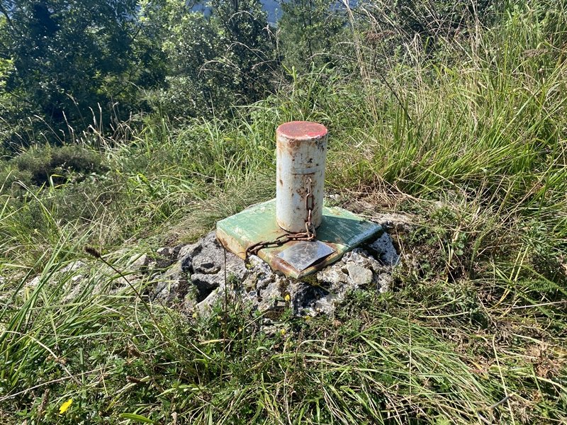 Buzoia