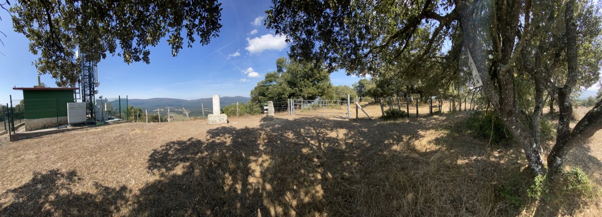 Tontorra