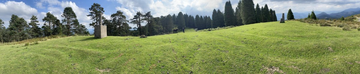 Tontorra