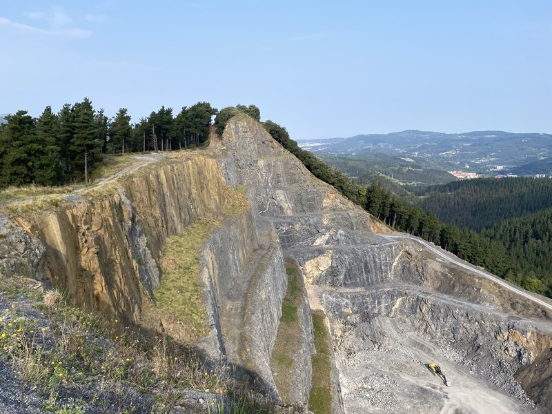 Tontor Ohia