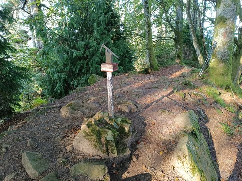 Tontorra