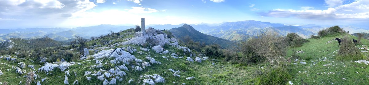 Tontorra