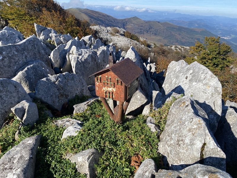 Buzoia