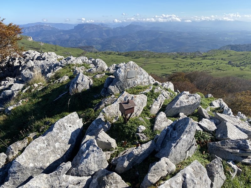 Tontorra
