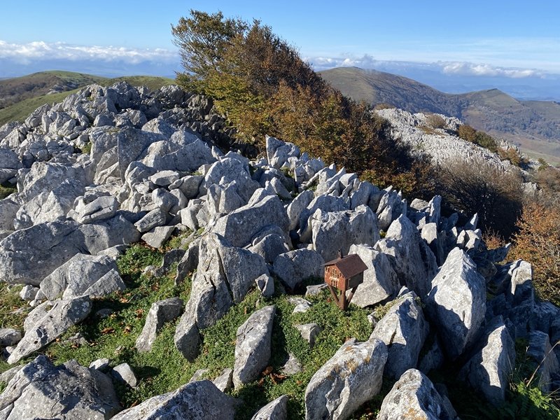 Tontorra