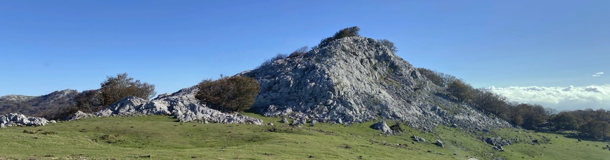 Gorosteta