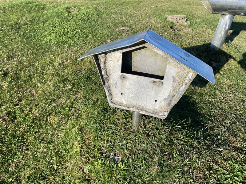 Buzoia