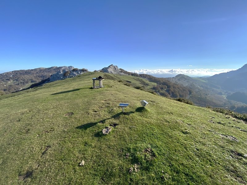 Tontorra