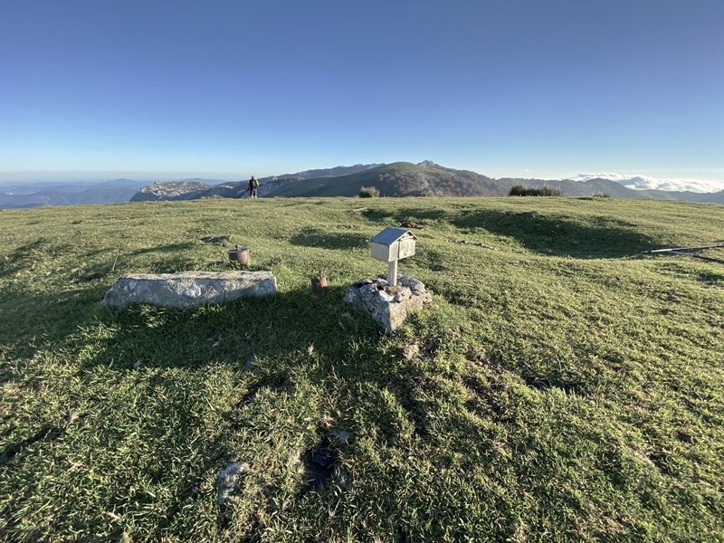 Tontorra