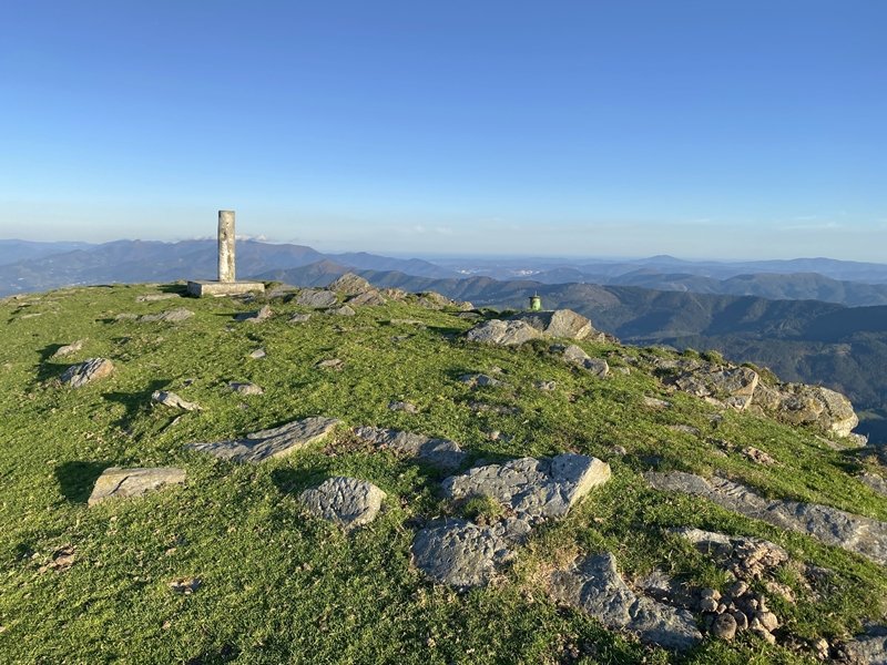 Tontorra